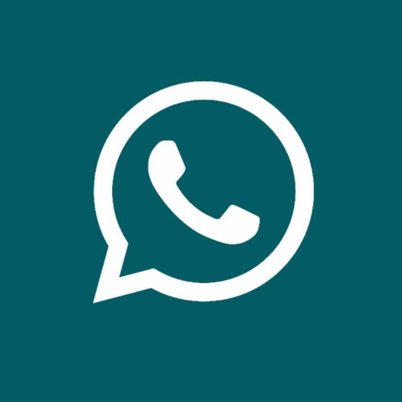 Chat with us on WhatsApp
